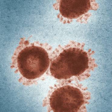 La inmunidad en Āyurveda: a propósito del coronavirus (COVID-19) y las enfermedades infecciosas