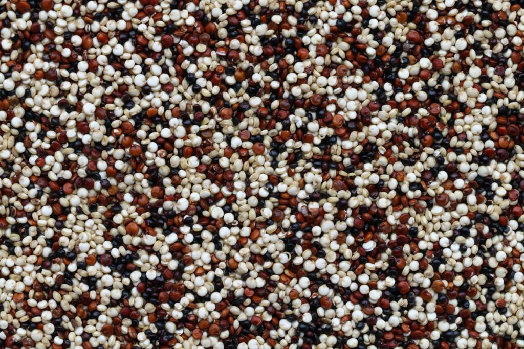 La quinoa es ideal para personas kapha y pitta
