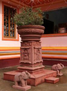 Tulsi o Albahaca en Ayurveda: la planta sagrada