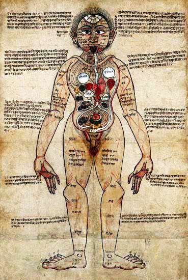 Srotas en Ayurveda