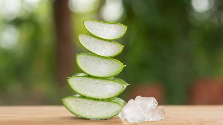 Aloe vera en Ayurveda