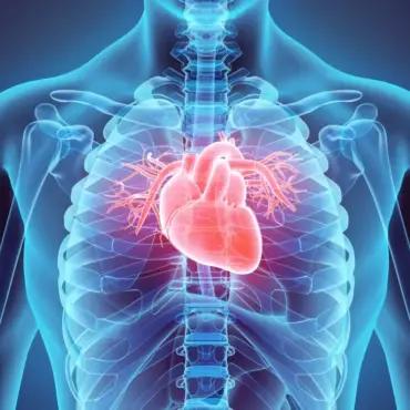 El corazon en Ayurveda