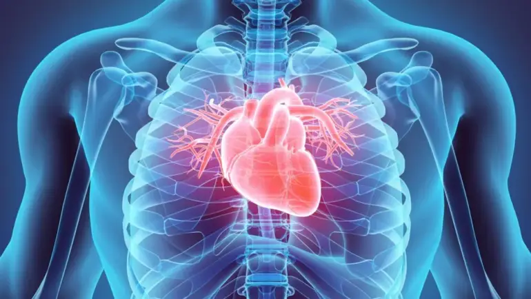 El corazon en Ayurveda