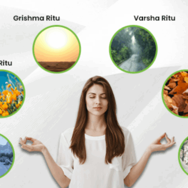 Ritucharya en Ayurveda: rutinas estacionales de salud