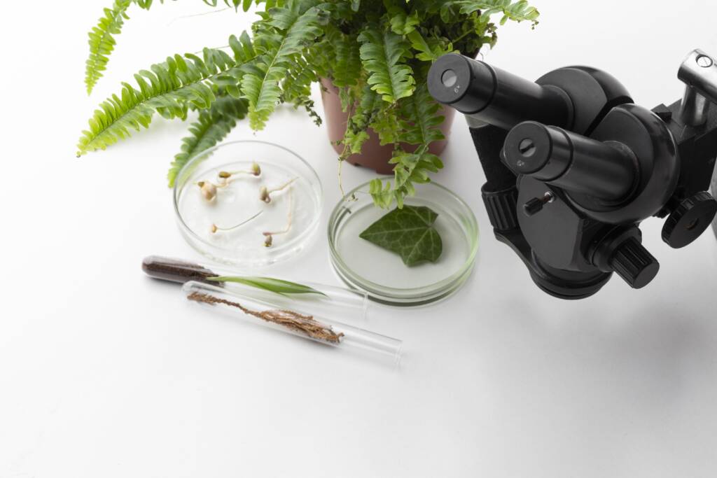Inteligencia artificial en Ayurveda