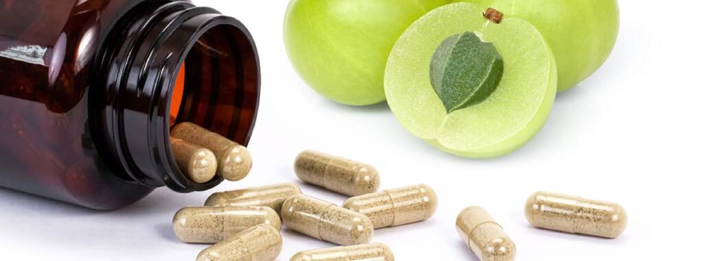Nutracéuticos en Ayurveda
