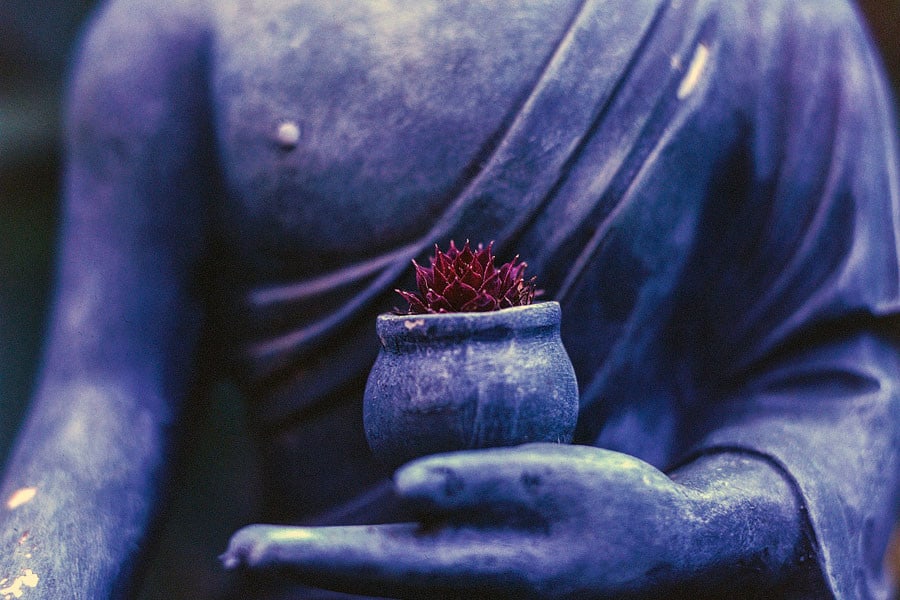 Ayurveda frente al destino