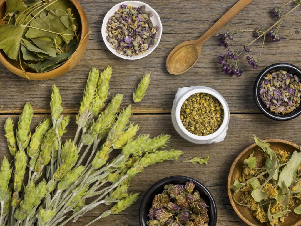 Recolección de plantas medicinales en Ayurveda