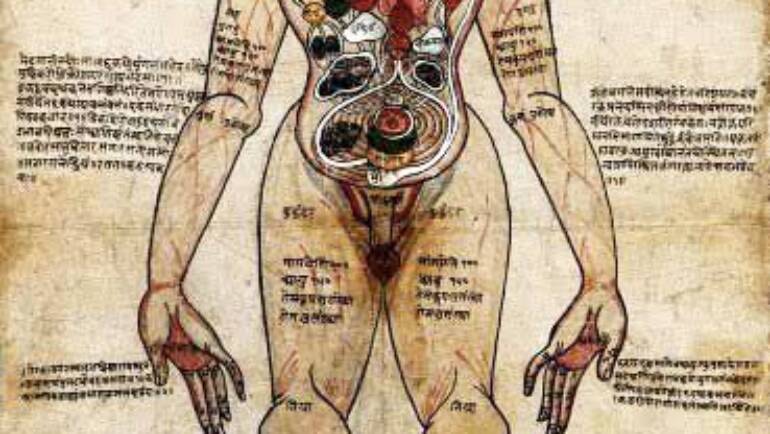 Harita Samhita en Ayurveda