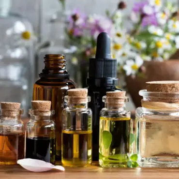 ¿Cuánto duran los productos ayurvédicos como el ghee, los aceites, los polvos de plantas, etc.? La conservación y la calidad en la medicina Ayurveda