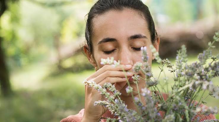 Teoría de los cinco elementos en Ayurveda